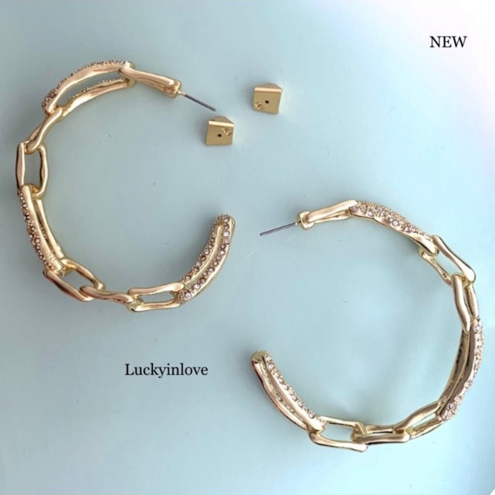 Alexis Bittar XL Golden Crystal Encrusted Textured Chain Link Hoop Post Earrings - Picture 4 of 16